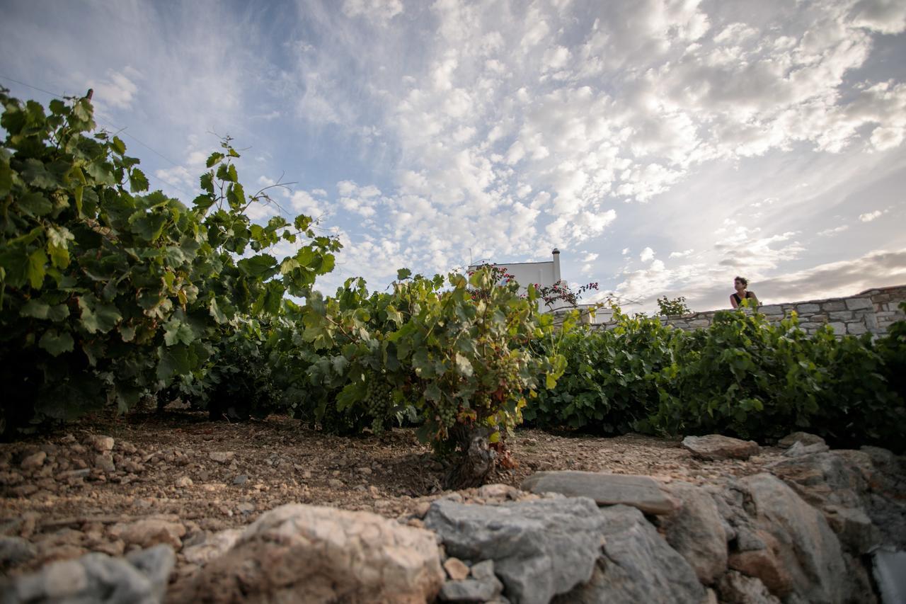 Villa Athina Ambrami Dış mekan fotoğraf